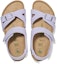 Shop (Preschool) Birkenstock Sandal 'Misty Purple Regular Edition' 1025200
