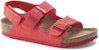 (Preschool) Birkenstock Sandal 'Red Buckle' 1023404
