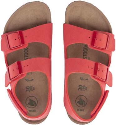 (Preschool) Birkenstock Sandal 'Red Buckle' 1023404 Shop (Preschool) Birkenstock Sandal 'Red Buckle' 1023404