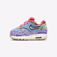 (Preschool) Concepts x Nike Air Max 1 'Wild Violet' DR2362-100 (Preschool) Concepts x Nike Air Max 1 'Wild Violet' DR2362-100