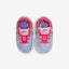 Shop (PS) Concepts x Nike Air Max 1 'Ungu Liar' DR2362-100
