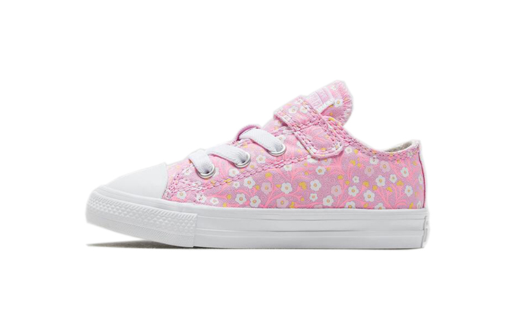 Buy (TD) 匡威Chuck Taylor All Star 1V儿童款 766882C