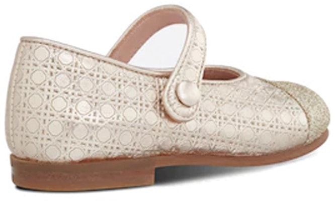 (Preschool) Dior Lambskin Ballet Flat 'Gold' 6ABS35SHOB_Y296 Shop (Preschool) Dior Lambskin Ballet Flat 'Gold' 6ABS35SHOB_Y296