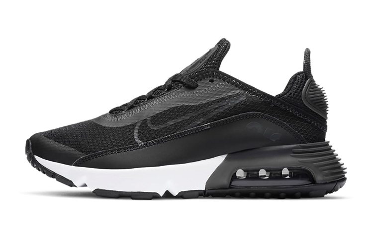 (Youth) Nike Air Max 2090 'Black Wolf Grey' DD3236-001