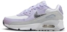 Buy (PS) Nike Air Max 90 Kulit 'Violet Frost' CD6867-123