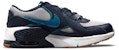 (Preschool) Nike Air Max Excee Blue/Grey CD6892-014