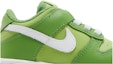 Order (PS) 나이키 덩크 로우 '클로로필/비비드 그린' DH9756-301