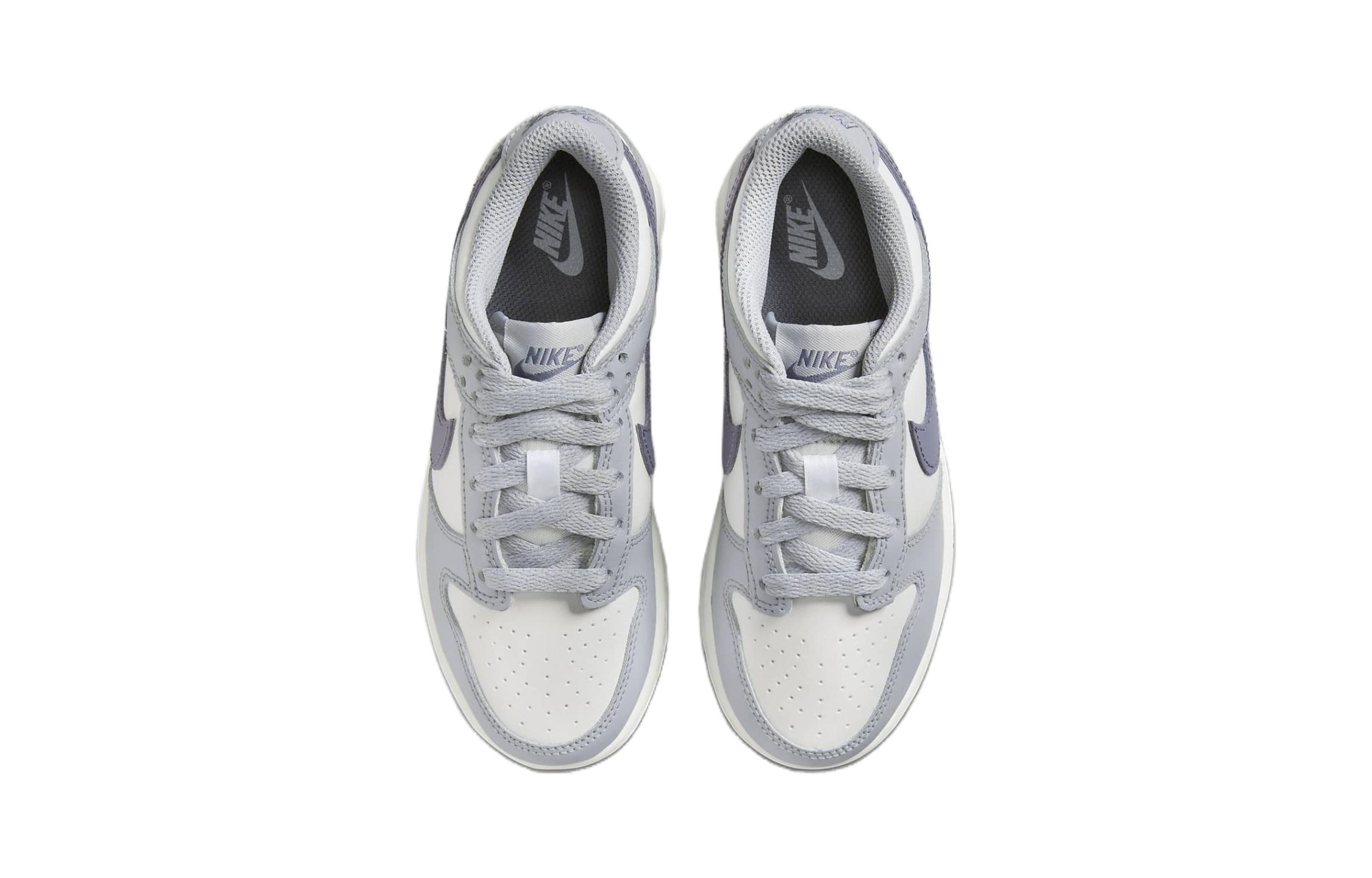 Shop (PS) Nike Dunk Low 'Carbono Claro' FB9108-101