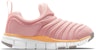 (PS) Nike Dynamo Free 'Pink Glaze' - Merah Jambu 343738-632