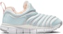 (PS) Nike Dynamo Free SE 'Biru Kelabu' FB7176-181