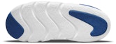 Details for (PS) Nike Dynamo Go 'Aura Multi' DH3437-400