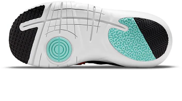 Details for (Preschool) Nike Flex Advance 'Black Multi' DN4240-011
