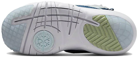 Details for (Preschool) Nike Flex Advance SE 'Pawprints' DQ7108-400