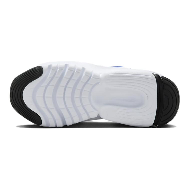 Details for (PS) ナイキ フレックス プラス 2 ゲームロイヤル ホワイト ブラック DV9000-401