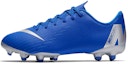 Buy (PS) Nike Mercurial Vapor 12 Academy MG Biru Hitam Perak Metalik Volt AH7347-400