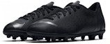 Lookbook (PS) Nike JR Vapor 12 Club FG/MG 'Pembunuh Hitam' AH7350-001