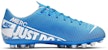 (Youth) Nike JR Vapor 13 Academy AG 'Blue White' BQ5500-414