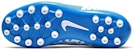 (Youth) Nike JR Vapor 13 Academy AG 'Blue White' BQ5500-414