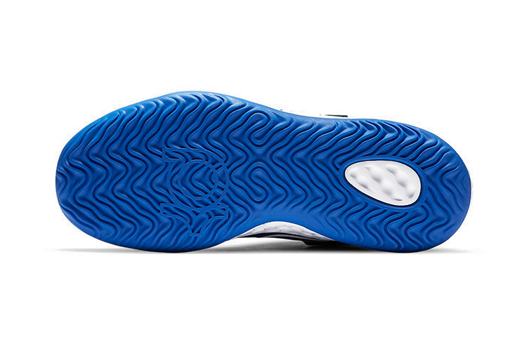Details for (PS) ナイキ KD トレイ 5 VIII "ブルーボイド" CW1064-402