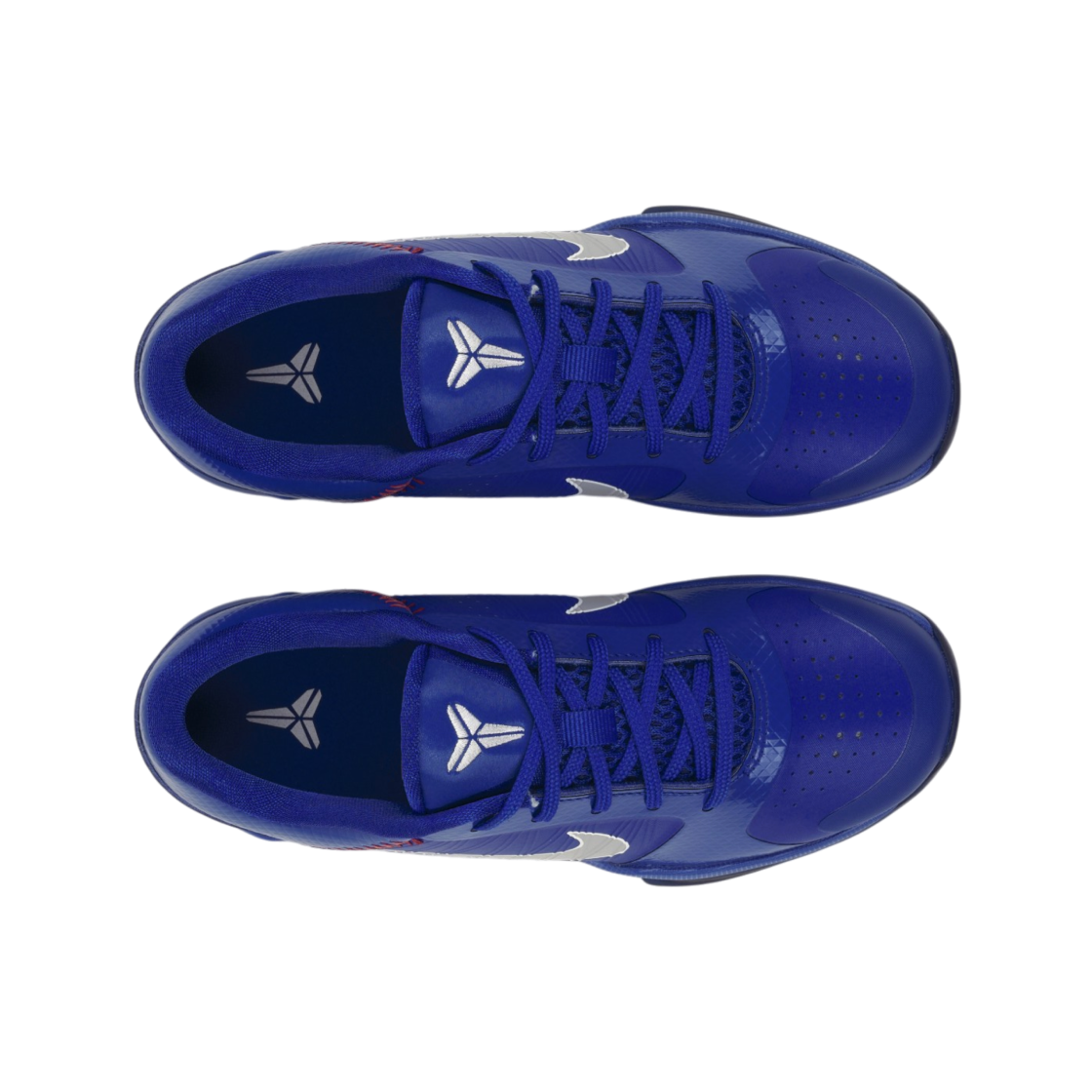 Purchase (JR) Nike Kobe 5 Protro ''道奇隊'' IR1849-400