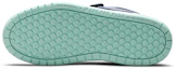 Details for (PS) Nike Pico 5 Blauw AR4161-402