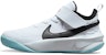 (Preschool) Nike Team Hustle D10 'White Black' CW6736-102