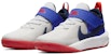 (Preschool) Nike Team Hustle D10 'White Game Royal' CW6736-103