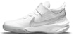(Preschool) Nike Team Hustle D10 'White Metallic Silver' CW6736-100