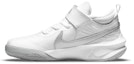 Buy (Preschool) Nike Team Hustle D10 'White Metallic Silver' CW6736-100