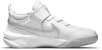 (Preschool) Nike Team Hustle D10 'White Metallic Silver' CW6736-100