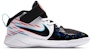 (Preschool) Nike Team Hustle D9 'Light' CV8972-001