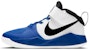 (PS) Nike Team Hustle D9 'Putih Game Royal' AQ4225-405
