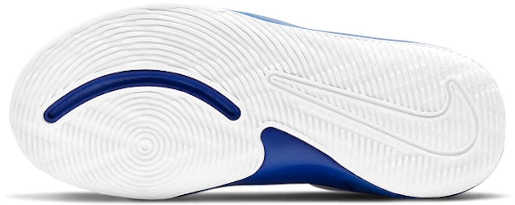 (Preschool) Nike Team Hustle D9 'White Game Royal' AQ4225-405 Details for (Preschool) Nike Team Hustle D9 'White Game Royal' AQ4225-405