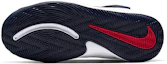 Details for (PS) Nike Team Hustle D9 FlyEase ''Midnight Navy University Red'' Nederlands. BV2951-400