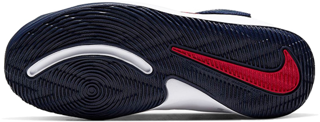 (Preschool) Nike Team Hustle D9 FlyEase 'Midnight Navy University Red' BV2951-400 Details for (Preschool) Nike Team Hustle D9 FlyEase 'Midnight Navy University Red' BV2951-400