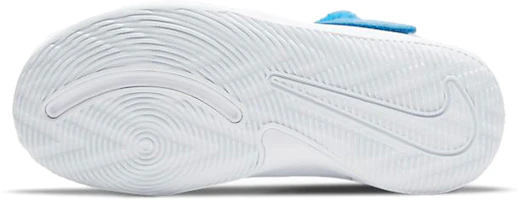 Details for (Preschool) Nike Team Hustle D9 Lil 'Light Photo Blue' CT4063-400