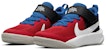 (Preschool) Nike Team Hustle D 10 'Red Blue Black' CW6736-005