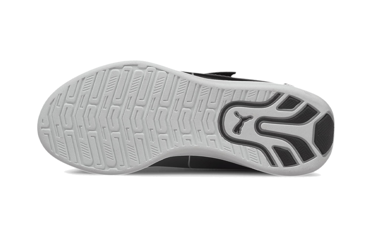 Purchase (PS) Puma BMW M Motorsport Drift Cat 8 Hardloopschoenen Zwart 339980-03