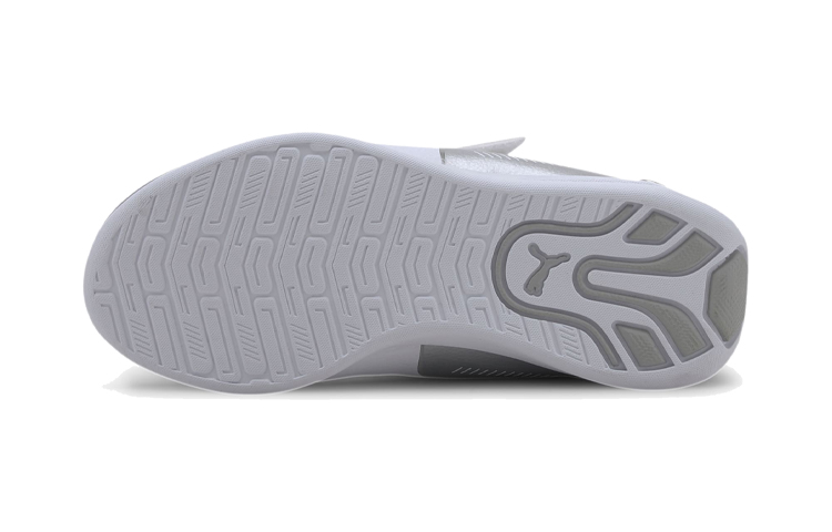Purchase (PS) Puma BMW M Motorsport Drift Cat 8 Hardloopschoenen Wit/Zilver 339980-02