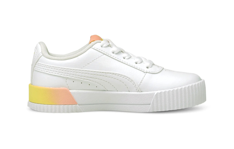 (PS) Puma Carina 'Summer Fade' 圖 2