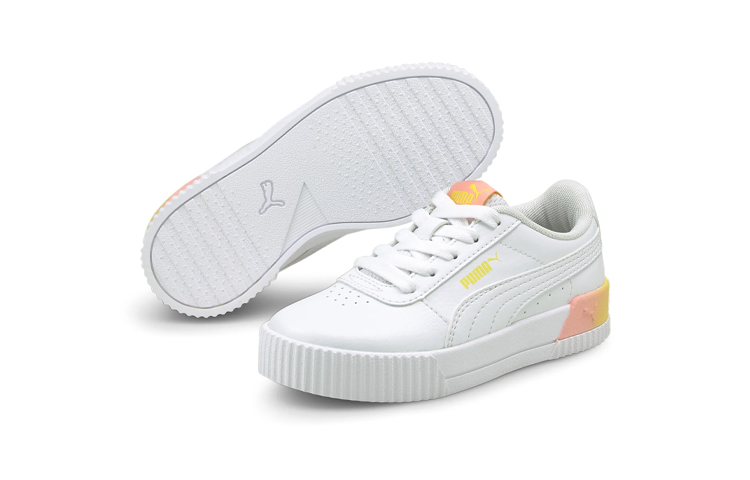 (PS) Puma Carina 'Summer Fade' 圖 3