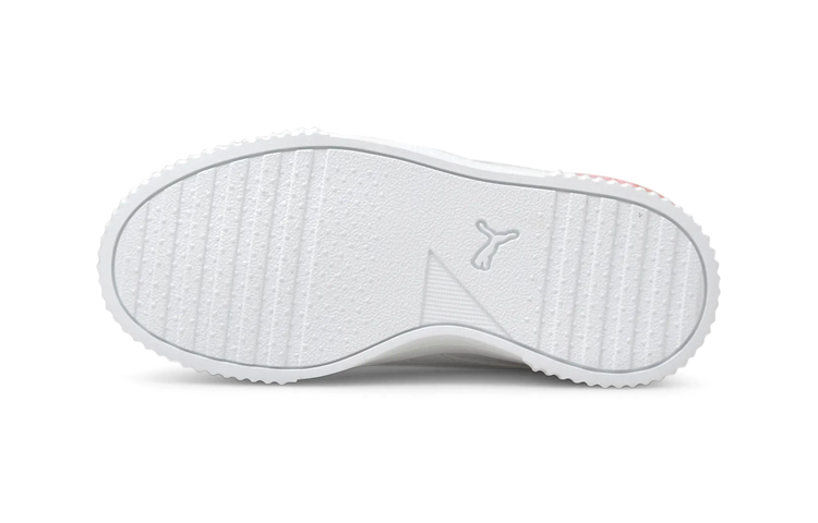 (PS) Puma Carina 'Summer Fade' 圖 5