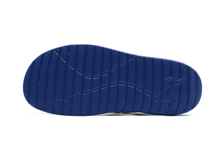 Purchase (PS) Puma Divecat V2 Injex 'Surf the Web' Sandal 369546-02