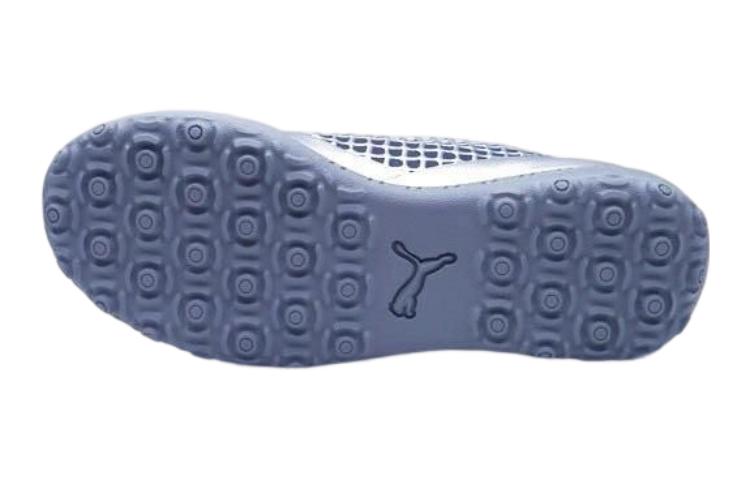 Shop (PS) Puma Future 2.4 TT ''Argento Blu'' 104845-03