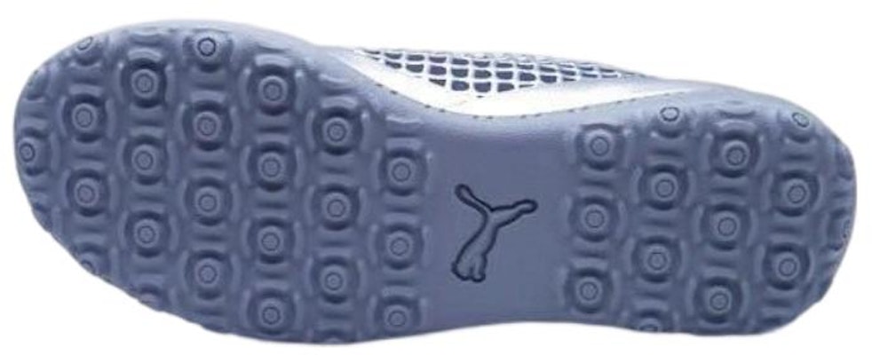 (Preschool) Puma Future 2.4 TT 'Silver Blue' 104845-03 Shop (Preschool) Puma Future 2.4 TT 'Silver Blue' 104845-03