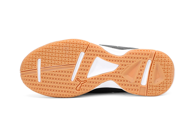 Purchase (PS) Puma Tenaz ''Teamsport Indoor'' 104890-01
