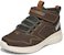(JR) Skechers Elite Flex Hydrox Kasut 'Coklat' 97895L-CHOC