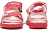 Lookbook (Preschool) Timberland Sandal 'Pink' 7785RPnk8