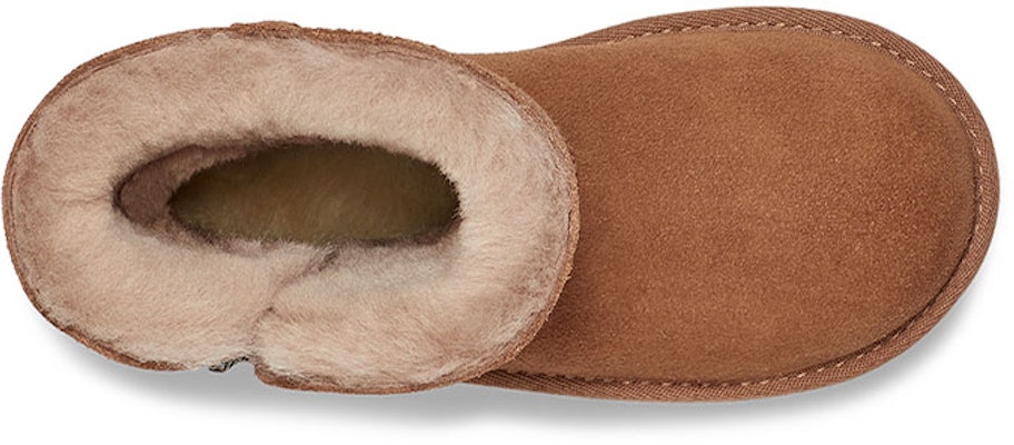 (Preschool) UGG Bailey Zip Short 1123613K-CHE Purchase (Preschool) UGG Bailey Zip Short 1123613K-CHE