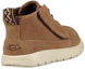 Shop 中童 UGG Canoe Suede 克諾翻毛皮款運動鞋 栗子棕色